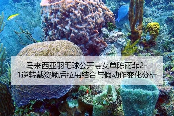 马来西亚羽毛球公开赛女单陈雨菲2-1逆转戴资颖后拉吊结合与假动作变化分析
